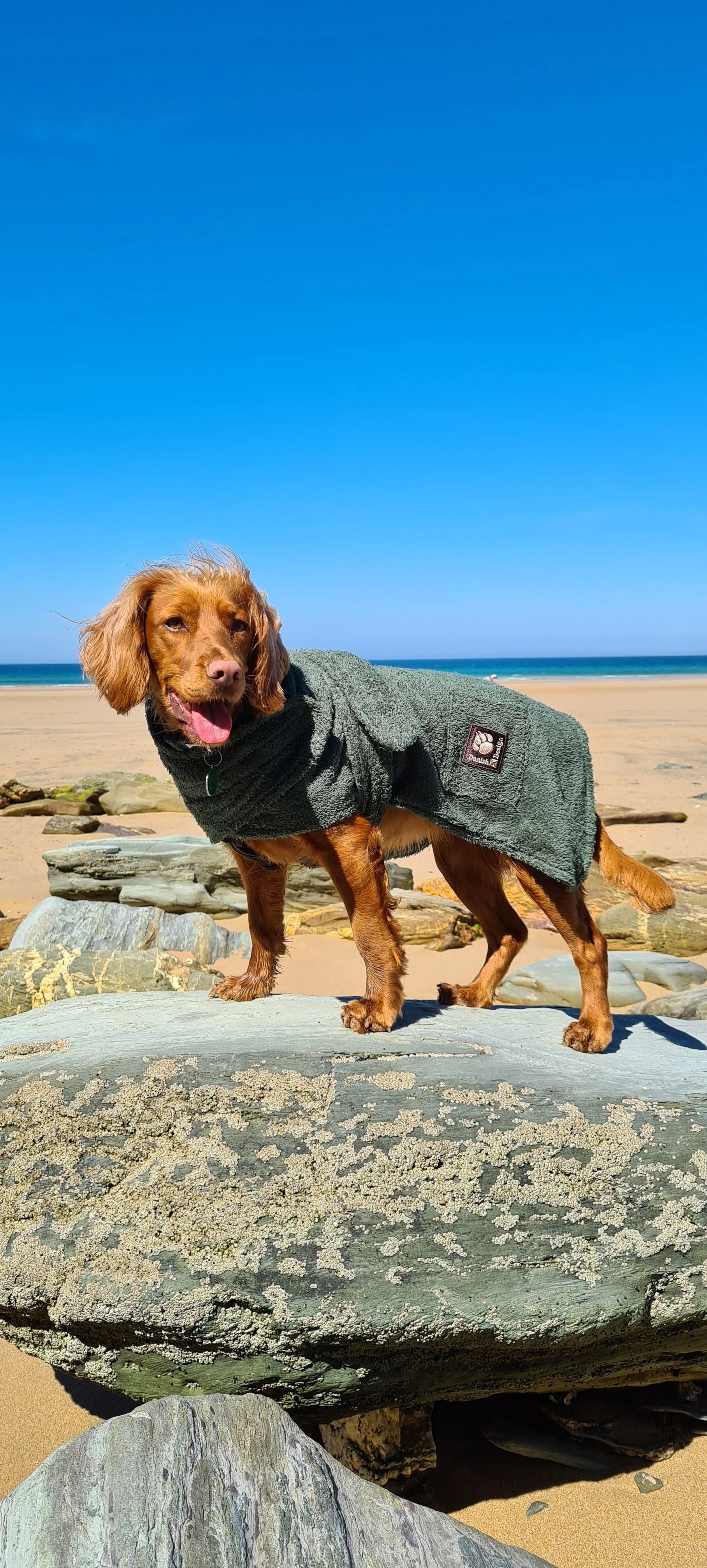 Dog Robe with optional embroidered name